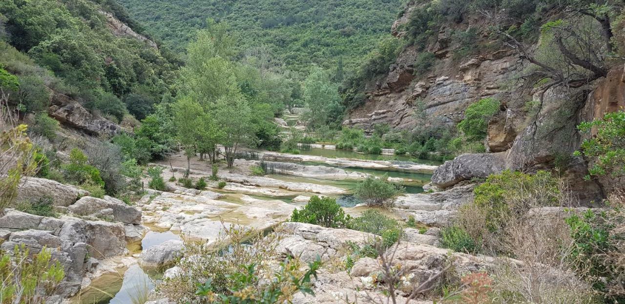 Les Chalets Du Relais D'Aguilar Tuchan ภายนอก รูปภาพ